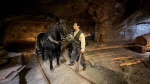 Read more about the article BHP W SYTUACJACH EKSTREMALNYCH –  CZYM RÓŻNI SIĘ OD STANDARDOWEGO PODEJŚCIA?