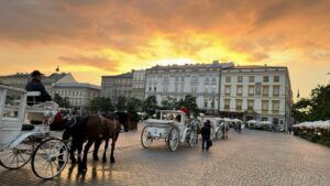 Read more about the article KRYTYCZNE MYŚLENIE JAKO KOMPETENCJA BEZPIECZEŃSTWA PRZYSZŁOŚCI